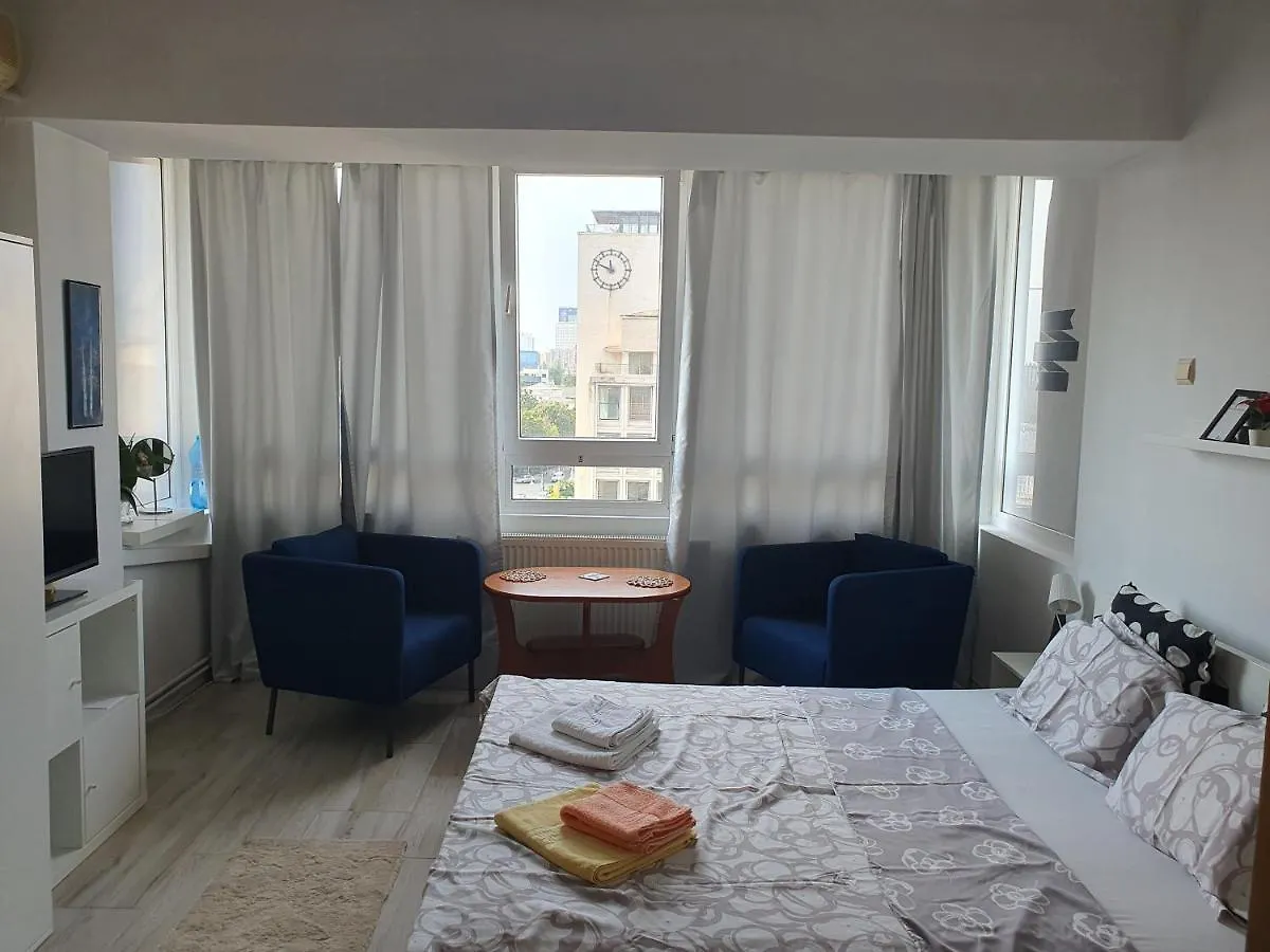 Calea Victoriei Studio Bucharest Apartment